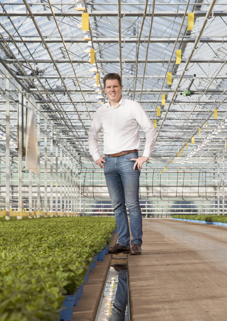 Interview Gipmans plants