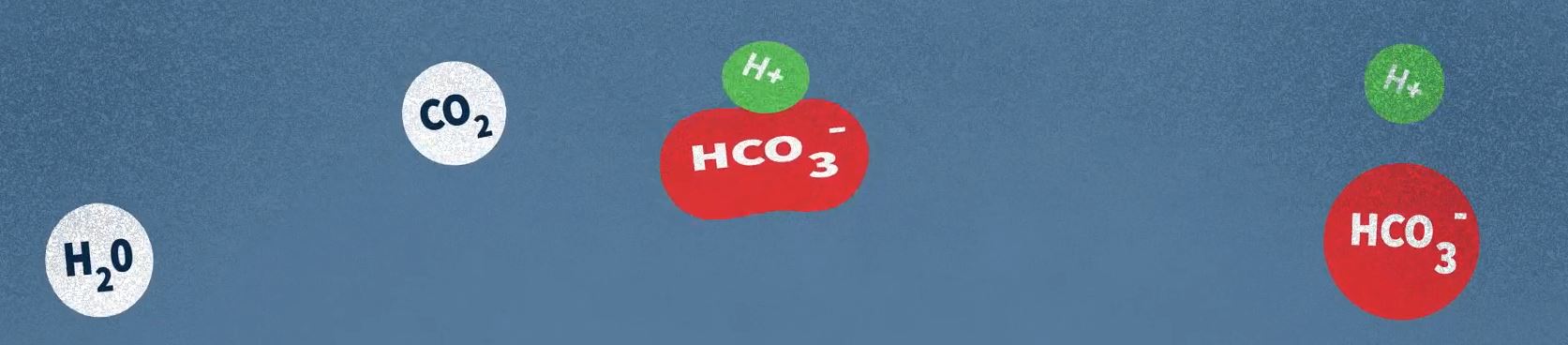 pH level in the root zone